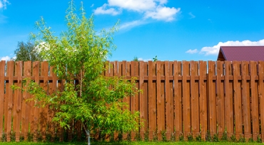 Accessing your Neighbours Property to carry out work