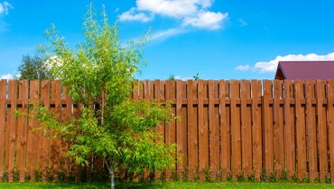 Accessing your Neighbours Property to carry out work